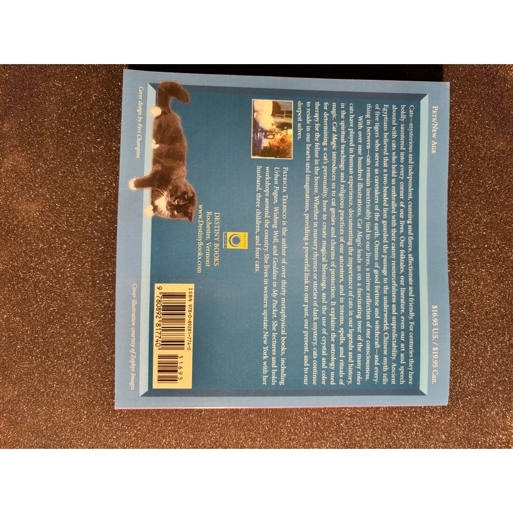 Patricia Telesco Destiny Books Cat Magic Book